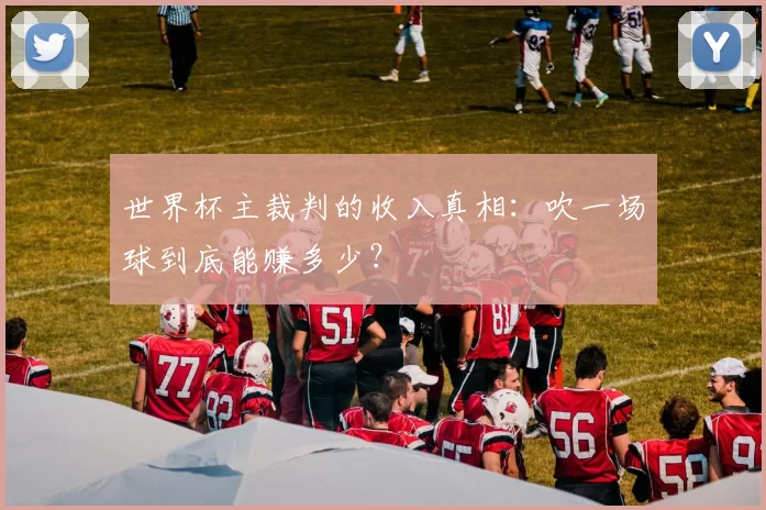 世界杯主裁判的收入真相:吹一场球到底能赚多少?