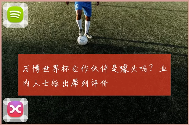 万博世界杯合作伙伴是噱头吗？业内人士给出犀利评价