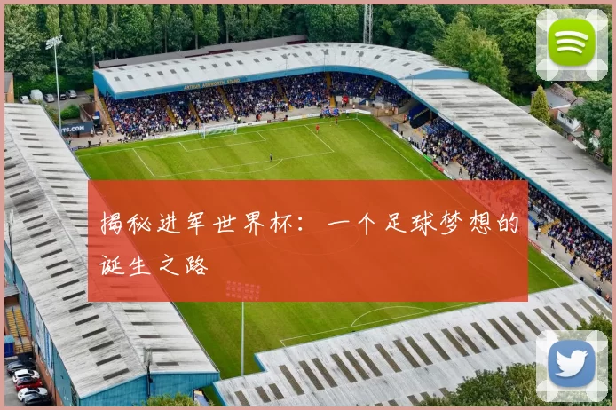 揭秘进军世界杯:一个足球梦想的诞生之路