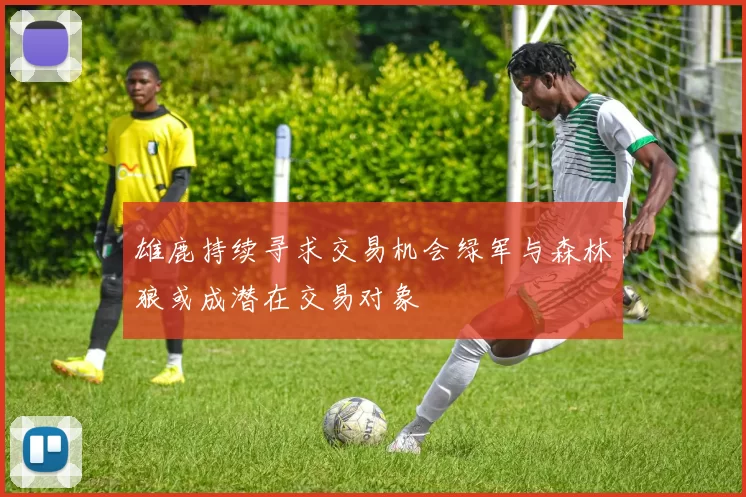 雄鹿持续寻求交易机会绿军与森林狼或成潜在交易对象