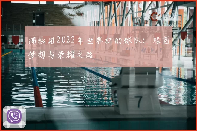 揭秘进2022年世界杯的球队:绿茵梦想与荣耀之路
