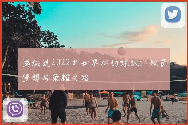 揭秘进2022年世界杯的球队:绿茵梦想与荣耀之路