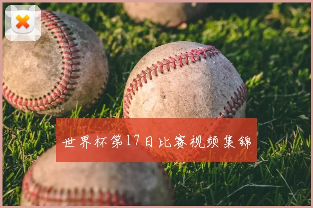 世界杯第17日比赛视频集锦