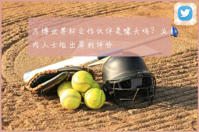 万博世界杯合作伙伴是噱头吗？业内人士给出犀利评价