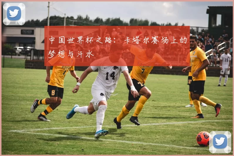 中国世界杯之路:卡塔尔赛场上的梦想与汗水