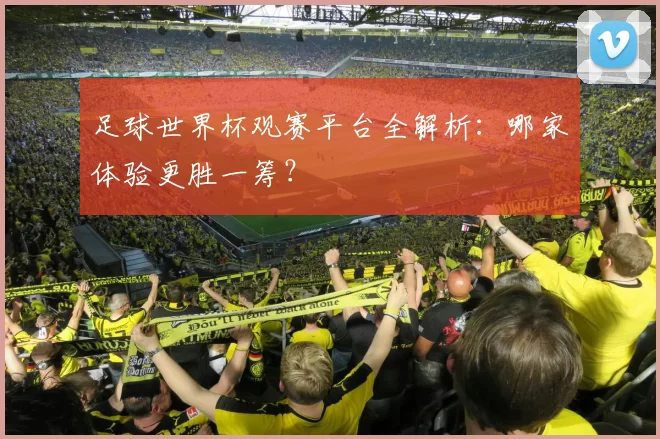 足球世界杯观赛平台全解析:哪家体验更胜一筹?