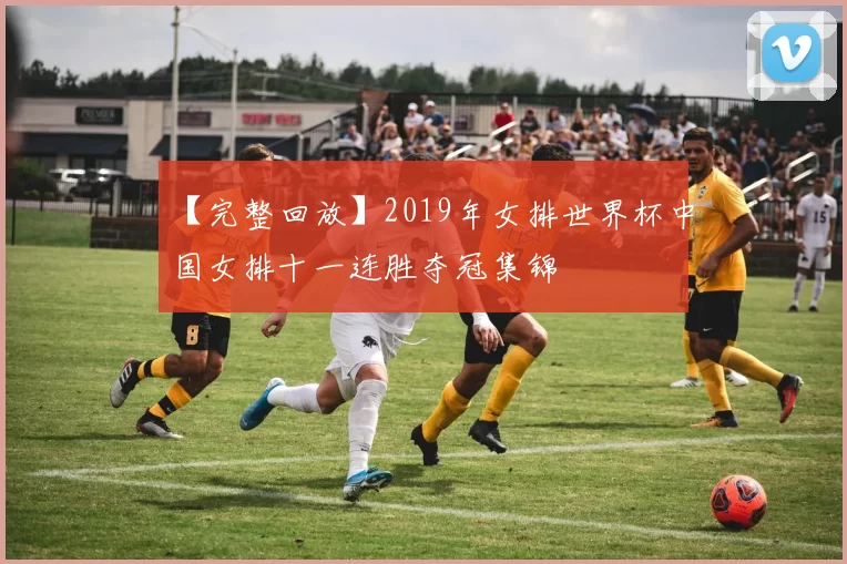 【完整回放】2019年女排世界杯中国女排十一连胜夺冠集锦