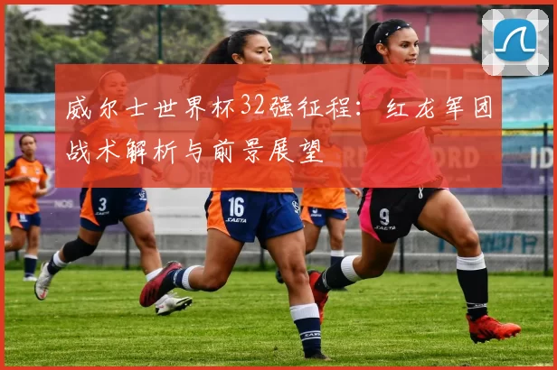 威尔士世界杯32强征程：红龙军团战术解析与前景展望