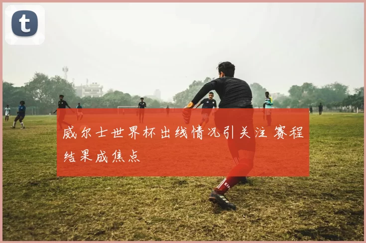威尔士世界杯出线情况引关注 赛程结果成焦点