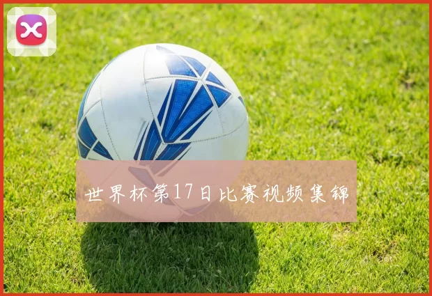 世界杯第17日比赛视频集锦