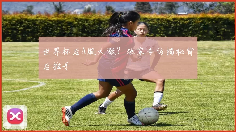 世界杯后A股大涨?独家专访揭秘背后推手